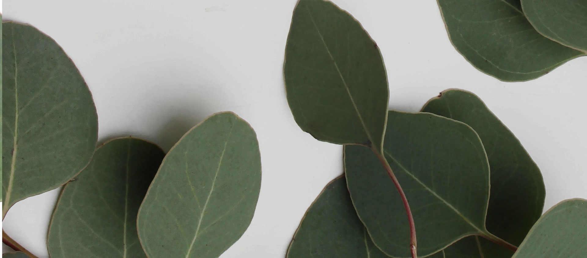 Взыскание ущерба от экологических правонарушений в Бугуруслане